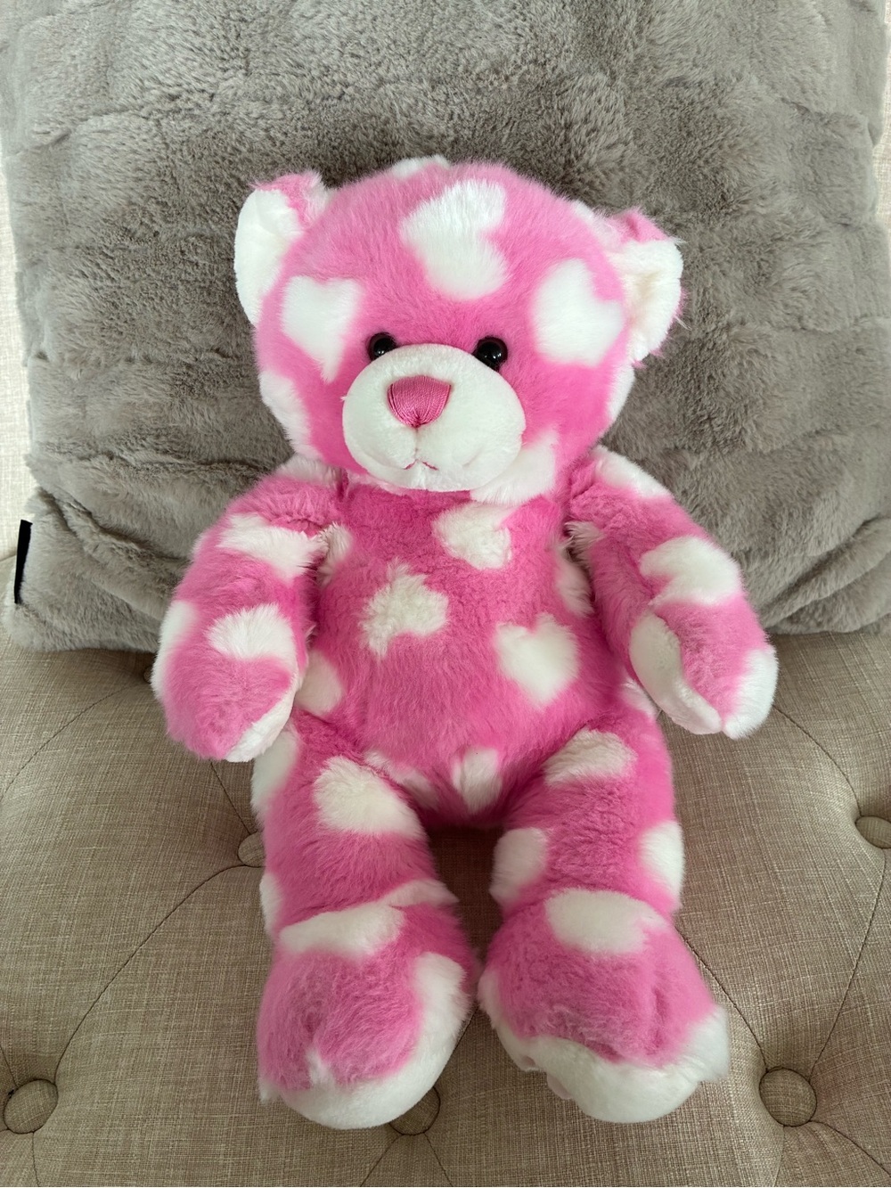 Build a Bear “Pink Hearts Teddy”